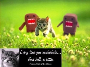 kitten Couldn't resist just ONE joke